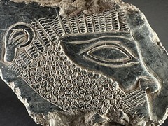ANCIENT ASSYYRIAN BLACK STONE FRAGMENT DEPICTING KING RULER – CIRCA 3000 BCE