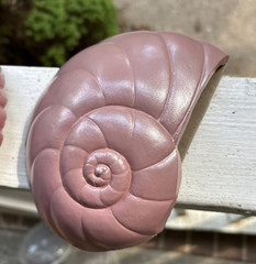 Vintage Mauve Pink Bathroom Wall Decor Seashells Art Burwood 1980s Conch Shell