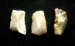Lower Paleolithic Levallois technique.” Acheulian” 1.4MYA. The Eshelo-Yabrudic