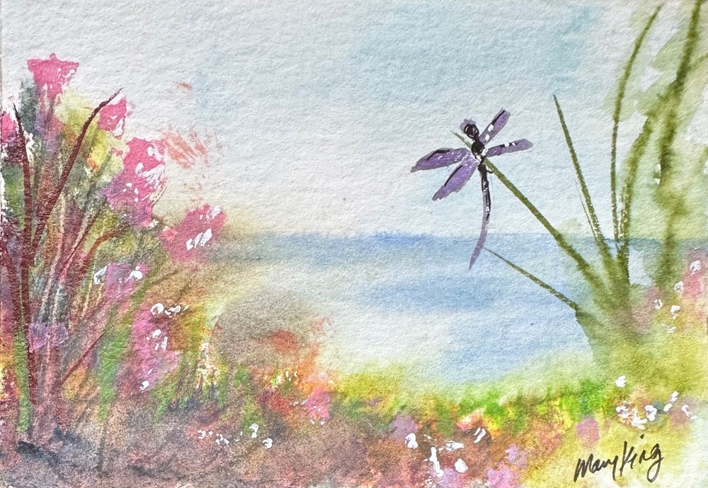 ACEO Original Watercolor Painting by Mary King – Dragonfly by the Water