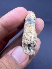 A Very Unique Old Sumerian Antiquity Jasper Stone Wild Lion Statue Figured