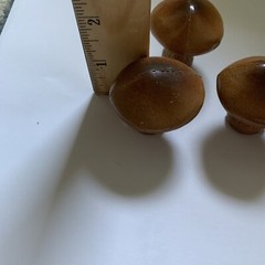 Vtg 5 Mini Brown Plastic Mushrooms Toadstools Crafts Country Cottage Decor