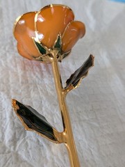 Steven Singer Orange Real Rose Preserved & Dipped in 24kt Gold