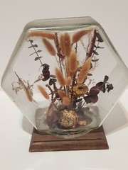 1977 Hand-Crafted Terrarium Dried Flowers Display Mixed Media