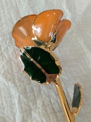 Steven Singer Orange Real Rose Preserved & Dipped in 24kt Gold