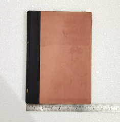 Modern Prints & Drawings: A Guide to a Better Understanding of Modern Draughtsma