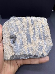 Un Touch Ghandhra Artifact Ancient Indo Greek Era Old Sculptor Fragment Panel