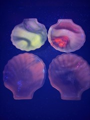4-AKRO AGATE SLAG GLASS CLAM SHELL TRINKET DISHES IN FOUR DIFFERENT COLORS