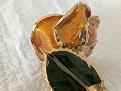 Steven Singer Orange Rose Preserved & Dipped in 24kt Gold ~ Sparkle Collection