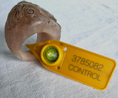 300 BC Authentic Ancient Roman hololith Ring Engraved Gemstone Depict Dolphin