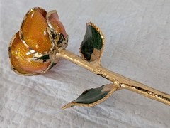 Steven Singer Orange Rose Preserved & Dipped in 24kt Gold ~ Sparkle Collection