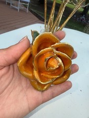gold dipped rose steven singer