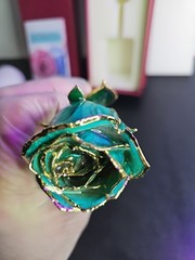 Beautiful Gold Dipped Rose 24K Plated Forever Preserved Roses Flower Blue 11″~~