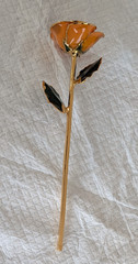 Steven Singer Orange Real Rose Preserved & Dipped in 24kt Gold