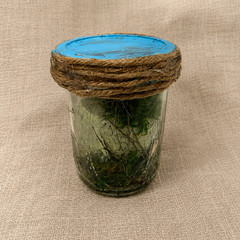 Haint Jar™ Appalachian Folk Horror Doll, Relic Oddity, Gothic, Handmade OOAK
