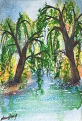 Watercolor Original ACEO Painting by Mary King – Weeping Willows