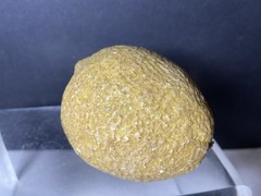 Vtg Stone Lemon Decorative Table Fruit Carved With Wood Stem Light Yellow
