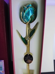 Beautiful Gold Dipped Rose 24K Plated Forever Preserved Roses Flower Blue 11″~~