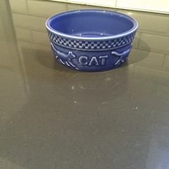 Longaberger Pottery Mulligan Cornflower BLUE CAT BOWL Made in USA 5″