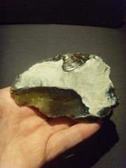 Lower Paleolithic – Two very Fine Acheulean scrapers. c.450,000 BP.