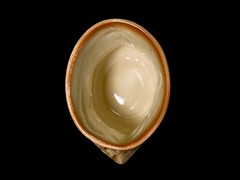 3” Royal Doulton England Dickens Shoe Cobbler Sam Weller Small Relief Mini Vase