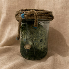 Haint Jar™ Appalachian Folk Horror Doll, Relic Oddity, Gothic, Handmade OOAK