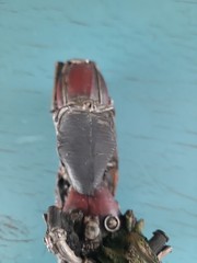 Vintage 1949 Motorcycle Resin Replica Figurine Popular Impots