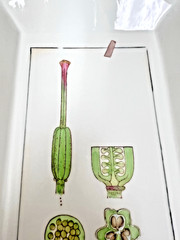 Fabienne Jouvin Paris Porcelain Tray Botanical 9 3/4″ x 5.5″ Signed