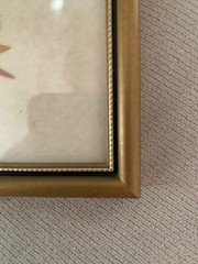 Pressed English Flowers Village Green Country Crafts England Framed Pair Signed
