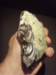 Lower Paleolithic – Very Fine Acheulean side scraper/chopper. c.450,000 BP.