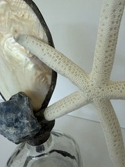 Jamie Dietrich Designs 1-of-a-kind Hand Crafted Sea Life & Stone On Glass Bottle
