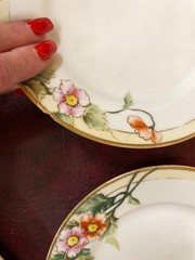 Set 7 Nippon Hand Painted 7.5” Dessert/Salad Plates Flowers Gold Detail 1900’s