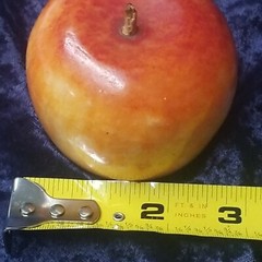 Antique Italian? Alabaster Stone Fruit Marble Red Yellow Apple Great Wood Stem