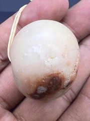 Rare Ancient Old Alabaster Stone Bactrian Bead From North Afghanistan