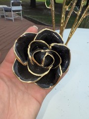 gold dipped rose steven singer
