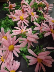 12 Stems Genuine 1960s Vintage Plastic Flowers – Marguerite Daisy 8 inches by 2″