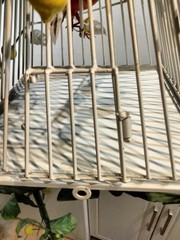 VINTAGE 1960’S ITALIAN TOLEWARE 64″ FREE STANDING NOVELTY DECORATIVE BIRDCAGE