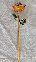Steven Singer Orange Rose Preserved & Dipped in 24kt Gold ~ Sparkle Collection