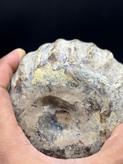 Un Touched Ancient Roman Glass Bottle in Perfect Condition C. 1st-2nd Century AD