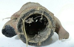 PRE COLUMBIAN POTTERY From a chibcha tomb – original, not manipulated