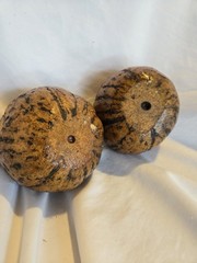 PAIR Vintage NATURAL Full Brazil Nut Pods Home Decor Unique
