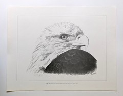 Jeff Gogue Signed Eagle Lithograph Print Rare Hand Numbered Art Isaiah 40:31