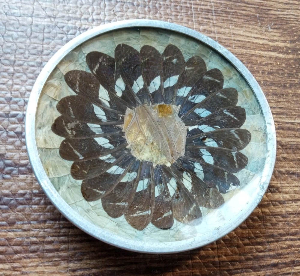 Vintage Butterfly Wing Art Trinket Dish Made In Brazil Wall Art Brown 4 3/4″