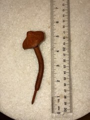 Cast Iron Metal Decorative Mushroom hooks Sculptures Set of 3 Various Sizes