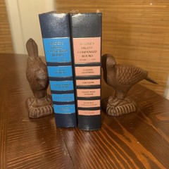 Pair of 2 Old Vintage CAST IRON METAL BIRD Birds Statue Figure – Brown Bookends