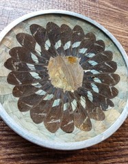 Vintage Butterfly Wing Art Trinket Dish Made In Brazil Wall Art Brown 4 3/4″