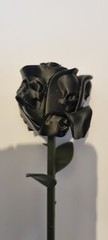 Gothic Skull Rose 3d Printed Gift Perfect Wedding Or Friend Halloween Present