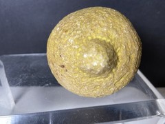 Vtg Stone Lemon Decorative Table Fruit Carved With Wood Stem Light Yellow