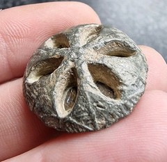 Medieval Lead Button Metal Detecting Find Antique 25mm 16.05g