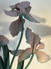 Vintage Toleware Metal Iris Pair
